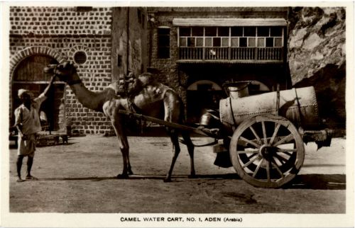 Aden - Camel water cart - Jemen