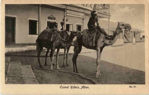 Aden - Camel Riders - Jemen