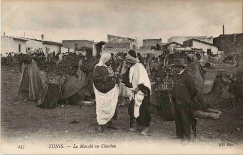 Tunis - Le Marche au Charbon