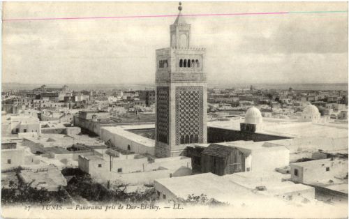Tunis - Panorama pris de Dar El Bey