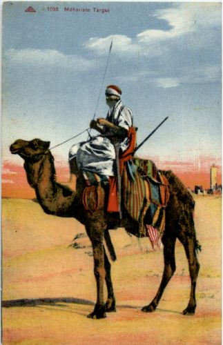 Mehariste Targui - camel