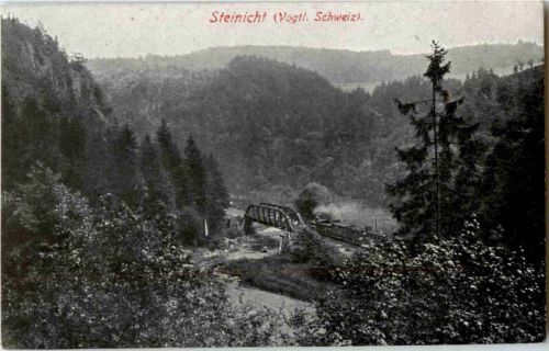 Steinicht