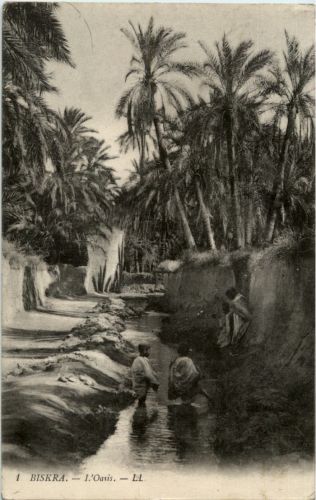 Biskra - L Oasis