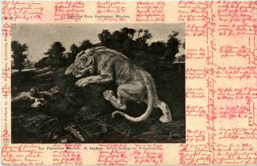 Künstler F. Snyders - Löwen Lion