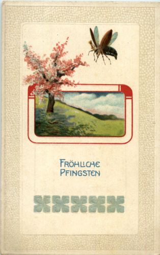 Pfingsten - Maikäfer