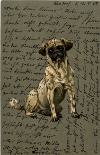 Hund - Dog - Prägekarte