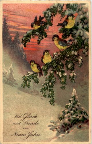 Neujahr - Vögel