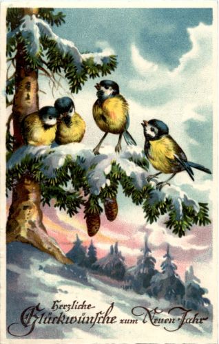 Neujahr - Vögel