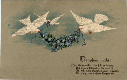 Vergissmeinnicht - Tauben