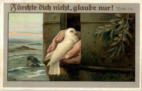 Fürchte dich nicht, glaube nur - Taube