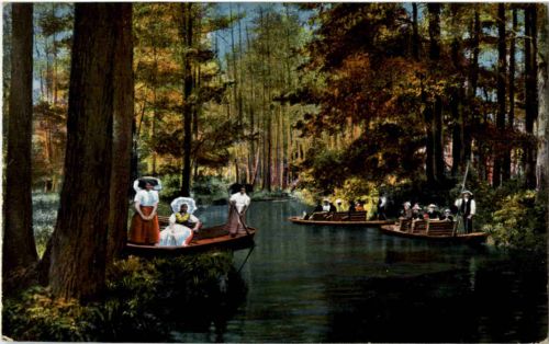 Spreewald - Partie im Hochwald