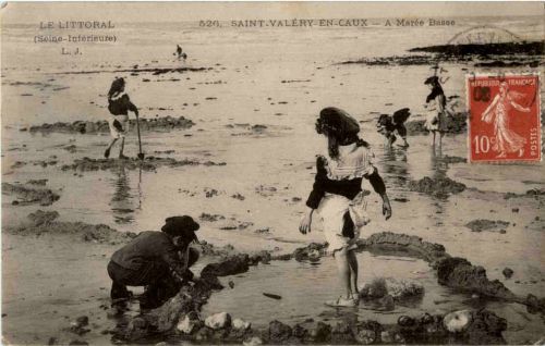 Le Littoral - Saint Valery en Caux