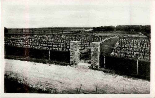 Arras - Saint Laurent Blangy - Cimetiere militaire allemand