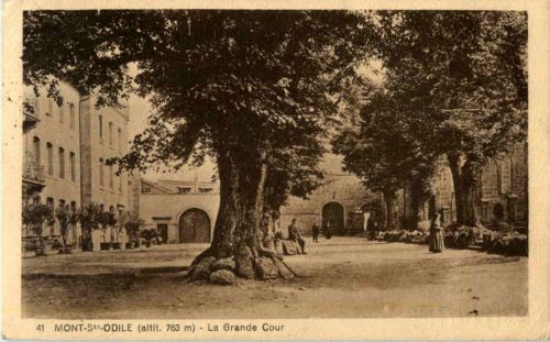 Mont Ste Odile