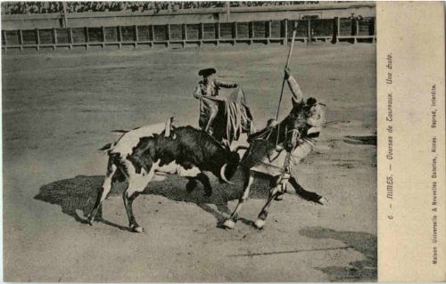 Nimes - Courses le Taureux