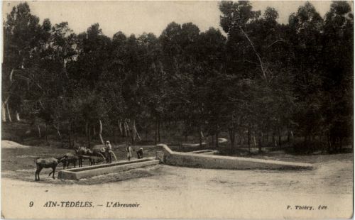 Ain-Tedeles