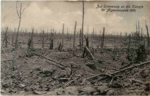 Kämpfe im Argonnenwald