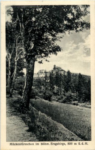 Mückentürmchen