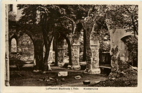 Luftkurort Stadtroda, Klosterruine