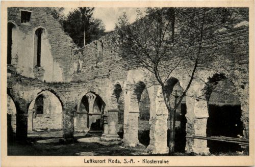 Luftkurort Stadtroda, Klosterruine