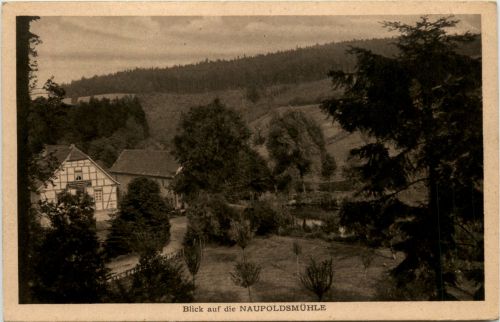 Blick auf Naupoldsmühle