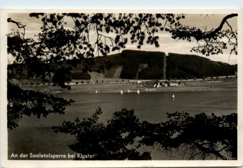 Die Saaletalsperre, bei Kloster