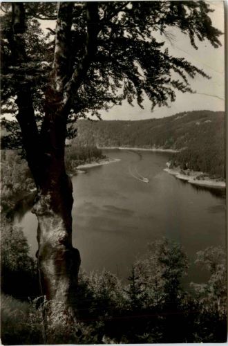 Die Saaletalsperre, Am Stausee, Am Silberknie