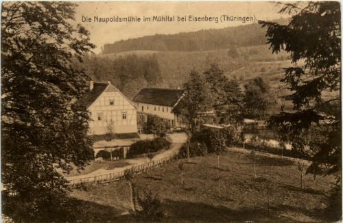 Mühltal bei Eisenberg, Naupoldsmühle