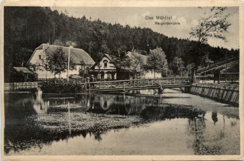 Das Mühltal, Naupoldsmühle