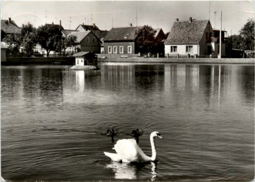 Gräfinau-Angstedt, Am Torteich