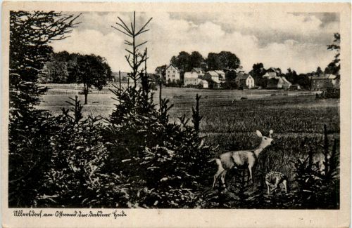 Radeberg,