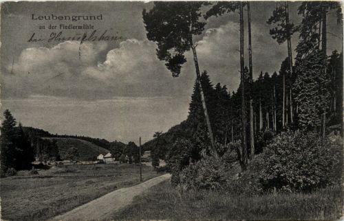 Leubengrund an der Fiedlermühle
