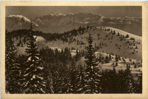 Oberaudorf am Inn, Blick vom Brünnsteinhaus