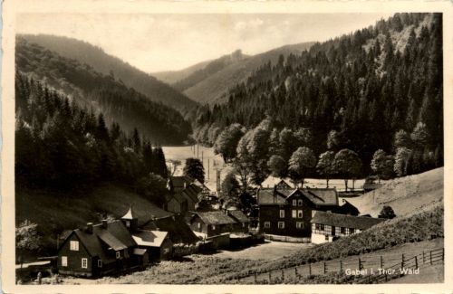 Frauenwald,