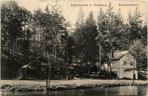 Augustusbad, Schwanenteich
