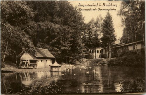 Augustusbad, Ententeich mit Genesungsheim
