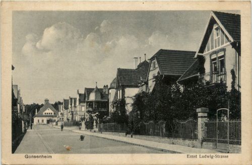 Gonsenheim, Ernst Ludwig-Strasse