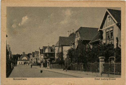 Gonsenheim, Ernst Ludwig-Strasse