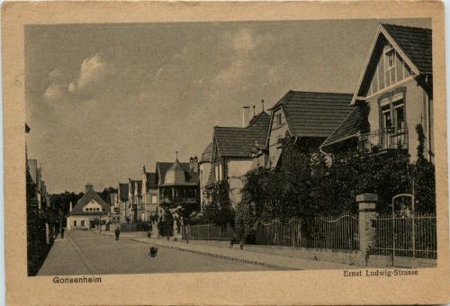 Gonsenheim, Ernst Ludwig-Strasse