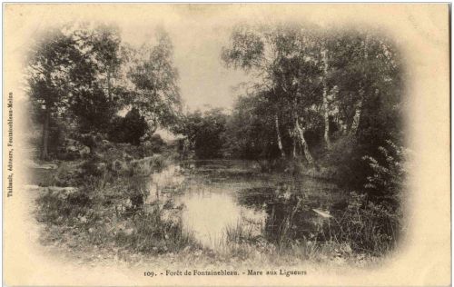 Foret de Fontainebleau - Mare aux Ligueurs