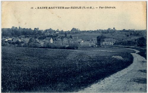 Saint Sauveur sur Ecole - vue generale