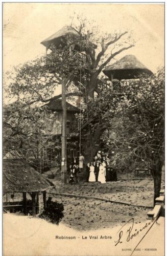 Robinson - Le Vrai Arbre