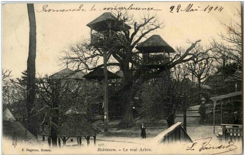 Robinson - Le vrai Arbre