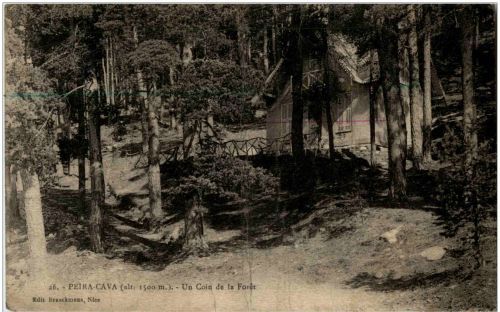 Peira Cava - un coin de la Foret