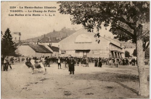 Vesoul - Les Halles et la Motte