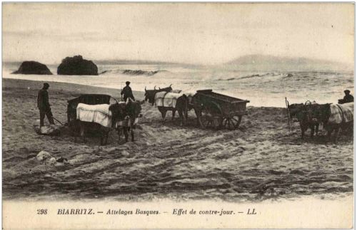 Biarritz - Attelages Basques