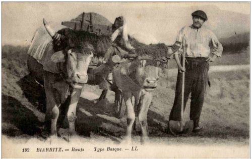 Biarritz - Boeufs
