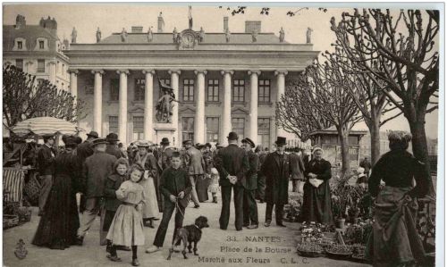 Nantes - Place de la bourse - Marche aux Fleurs - Pudel