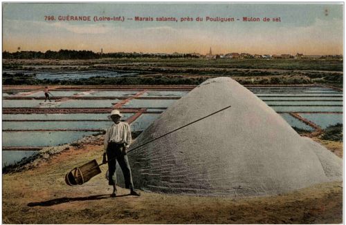 Guerande - Marais salants