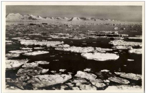 Spitzbergen - Treibeis in der Königsbucht
